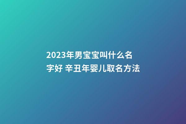 2023年男宝宝叫什么名字好 辛丑年婴儿取名方法